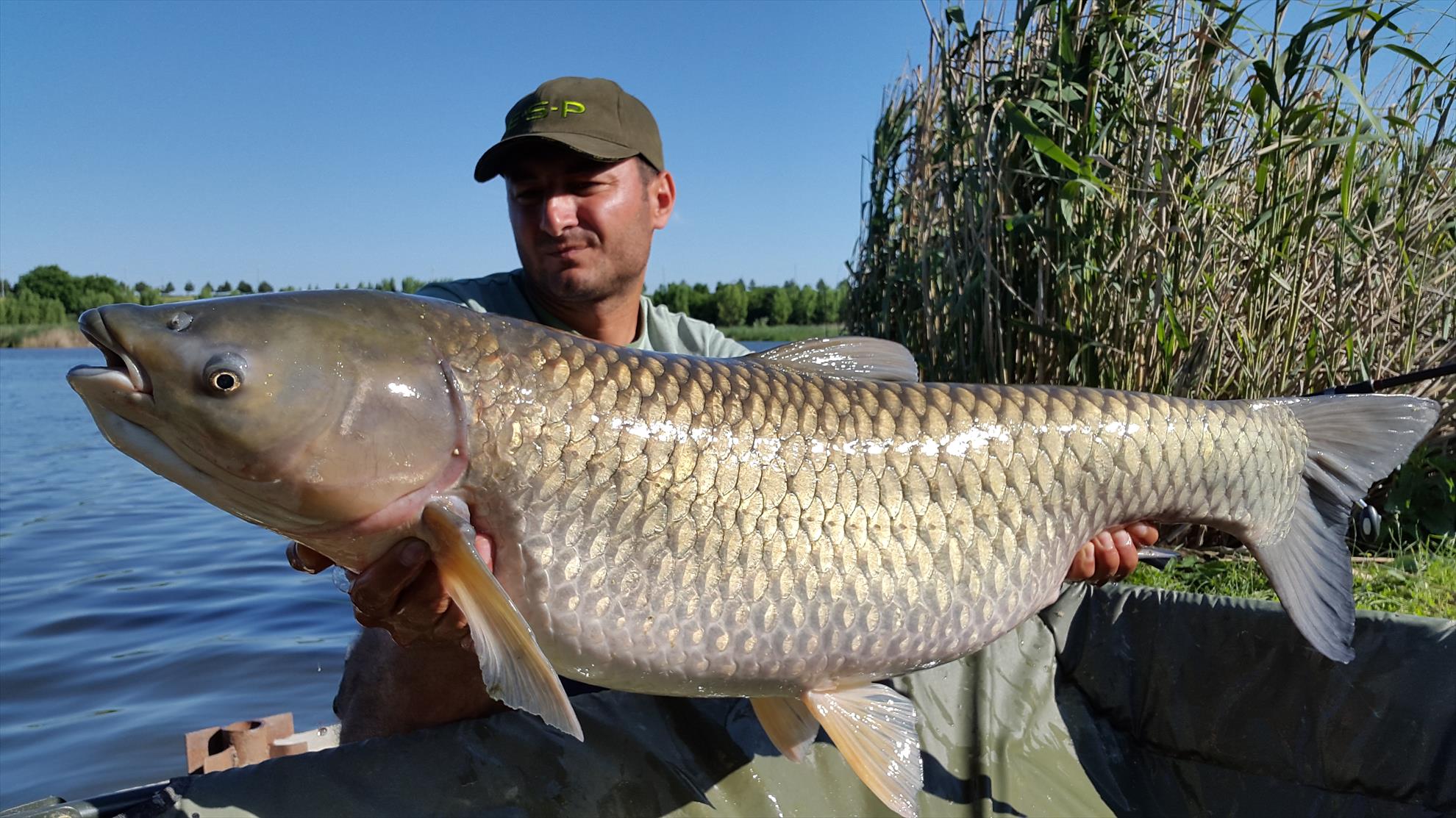 Tancabesti 5 - 6 iunie 2015 - 20150606174412.jpg